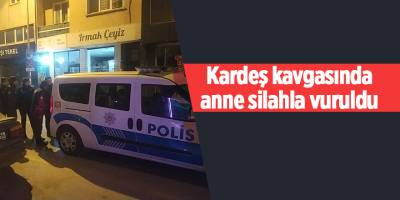 Kardeş kavgasında anne silahla vuruldu