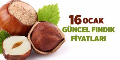 16 Ocak güncel fındık fiyatları