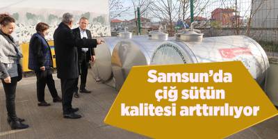 Samsun’da çiğ sütün kalitesi arttırılıyor - samsun haber