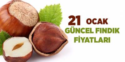 21 Ocak  güncel fındık fiyatları