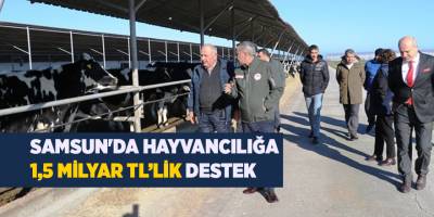 Samsun'da hayvancılığa 1,5 milyar TL’lik destek - samsun haber