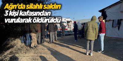 Ağrı'da silahlı saldırı! 3 kişi kafasından vurularak öldürüldü