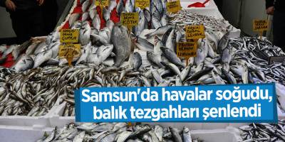 Samsun'da havalar soğudu, balık tezgahları şenlendi - samsun haber