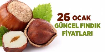 26 Ocak güncel fındık fiyatları