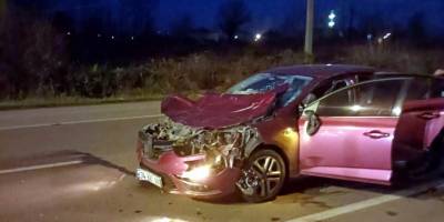 Samsun'da inekler faciaya neden oluyordu - samsun haber