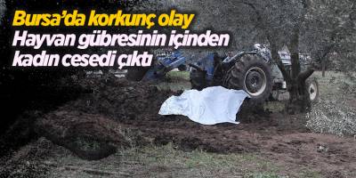 Bursa’da korkunç olay Hayvan gübresinin içinden kadın cesedi çıktı