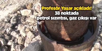 Profesör Yaşar açıkladı! 38 noktada petrol sızıntısı, gaz çıkışı var