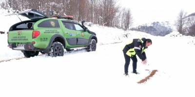 Canik Belediyesi can dostları İçin 7/24 mesaide - samsun haber