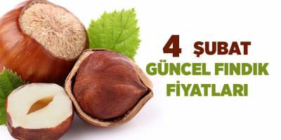 4 Şubat güncel fındık fiyatları