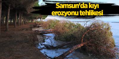 Samsun'da kıyı erozyonu tehlikesi - samsun haber