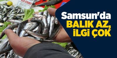 Samsun'da balık az, ilgi çok - samsun haber