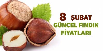 8 Şubat güncel fındık fiyatları