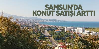 Samsun'da konut satışı arttı - samsun haber