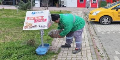 Canik Belediyesi Can Dostları İçin Sahada - samsun haber