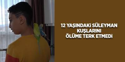 12 yaşındaki Süleyman kuşlarını ölüme terk etmedi