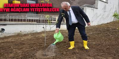 Atakum’daki okullarda  meyve ağaçları yetiştirilecek