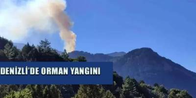 Denizli’de orman yangını