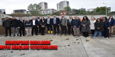 Atakum’daki okullarda  meyve ağaçları yetiştirilecek