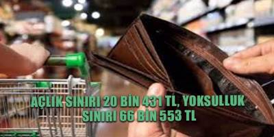 Açlık sınırı 20 bin 431 TL, yoksulluk sınırı 66 bin 553 TL