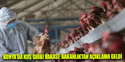 Konya’da kuş gribi vakası: Bakanlıktan açıklama geldi