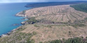 Sinop'ta nükleer güç santral için yer tahsis edildi