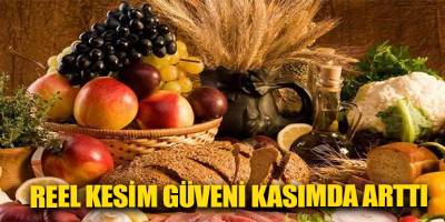 Reel kesim güveni kasımda arttı