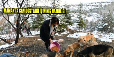 Mamak’ta can dostları için kış hazırlığı