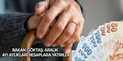 Bakan Göktaş: Aralık ayı aylıkları hesaplara yatırıldı