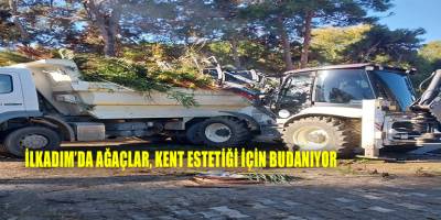 İlkadım’da ağaçlar, kent estetiği için budanıyor