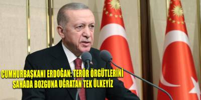 Cumhurbaşkanı Erdoğan: Terör örgütlerini sahada bozguna uğratan tek ülkeyiz