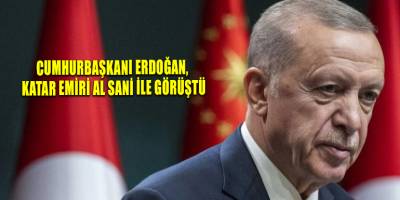 Cumhurbaşkanı Erdoğan, Katar Emiri Al Sani ile görüştü