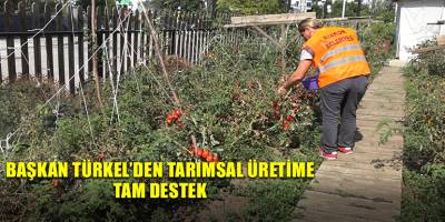 Başkan Türkel’den tarımsal üretime tam destek