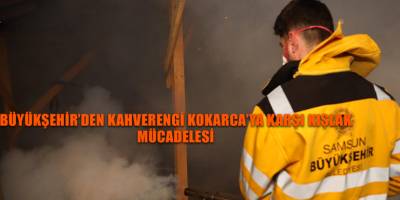 BÜYÜKŞEHİR’DEN KAHVERENGİ KOKARCA’YA KARŞI KIŞLAK  MÜCADELESİ