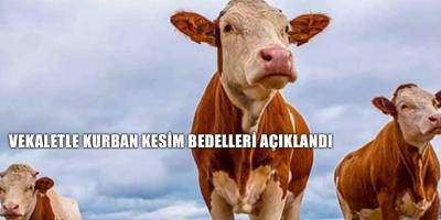 Vekaletle kurban kesim bedelleri açıklandı