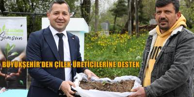 BÜYÜKŞEHİR’DEN ÇİLEK ÜRETİCİLERİNE DESTEK