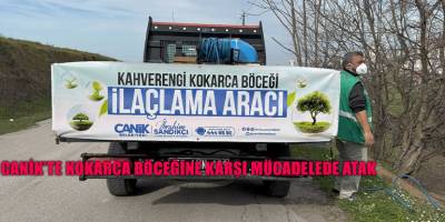 Canik'te Kokarca Böceğine Karşı Mücadelede Atak