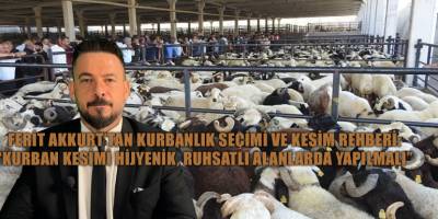 Ferit Akkurt’tan kurbanlık seçimi ve kesim rehberi: “Kurban kesimi hijyenik, ruhsatlı alanlarda yapılmalı”