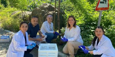 1 MİLYONUN ÜZERİNDE SAMURAY ARISI DOĞAYA SALINDI