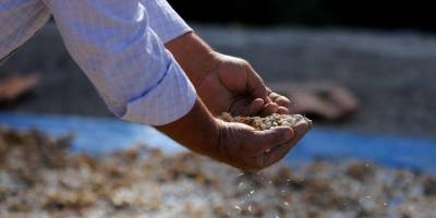 BÜYÜKŞEHİR BELEDİYESİ TARIMSAL ÜRETİMLE SOSYAL YARDIMLAŞMAYI AYNI NOKTADA BULUŞTURDU