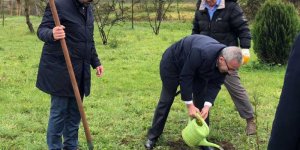 EMŞAV’dan 300 fidan