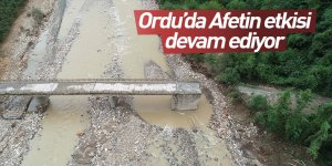 Ordu'da afetin etkisi devam ediyor