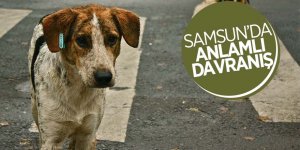 Samsunlu vatandaşlardan anlamlı davranış