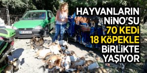 Hayvanların Nino'su, 70 kedi, 18 köpekle birlikte yaşıyor