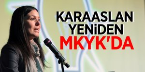 Karaaslan yeniden MKYK'da