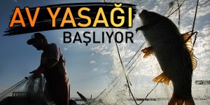 Av yasağı başlıyor
