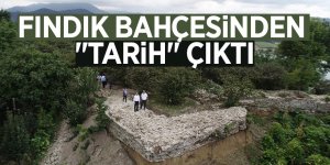 Fındık bahçesinden "tarih" çıktı