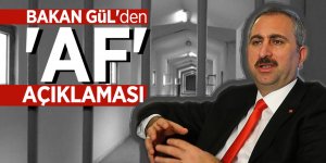 Bakan Gül'den 'af' açıklaması