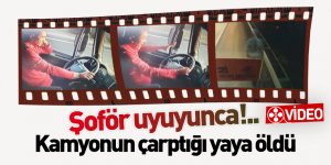 Samsun'da şoförü uyuyan kamyonun çarptığı yaya öldü