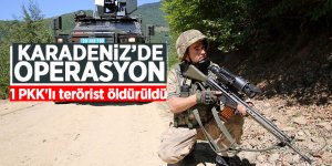 Karadeniz’de operasyon: 1 PKK'lı terörist öldürüldü