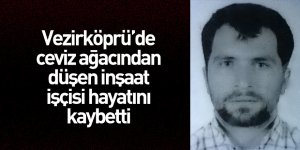 Vezirköprü'de ceviz ağacından düşen inşaat işçisi öldü